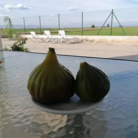 Vakantiehuis Casa Bassa De La Marquesa Deltebre